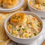 Amazing Crock Pot Chicken Pot Pie Recipe