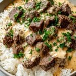 Steak Queso Rice Recipe