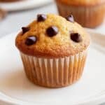 Pumpkin Chocolate Chip Muffins Recipe