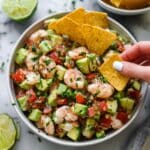 Avocado Salsa Shrimp Salad Recipe