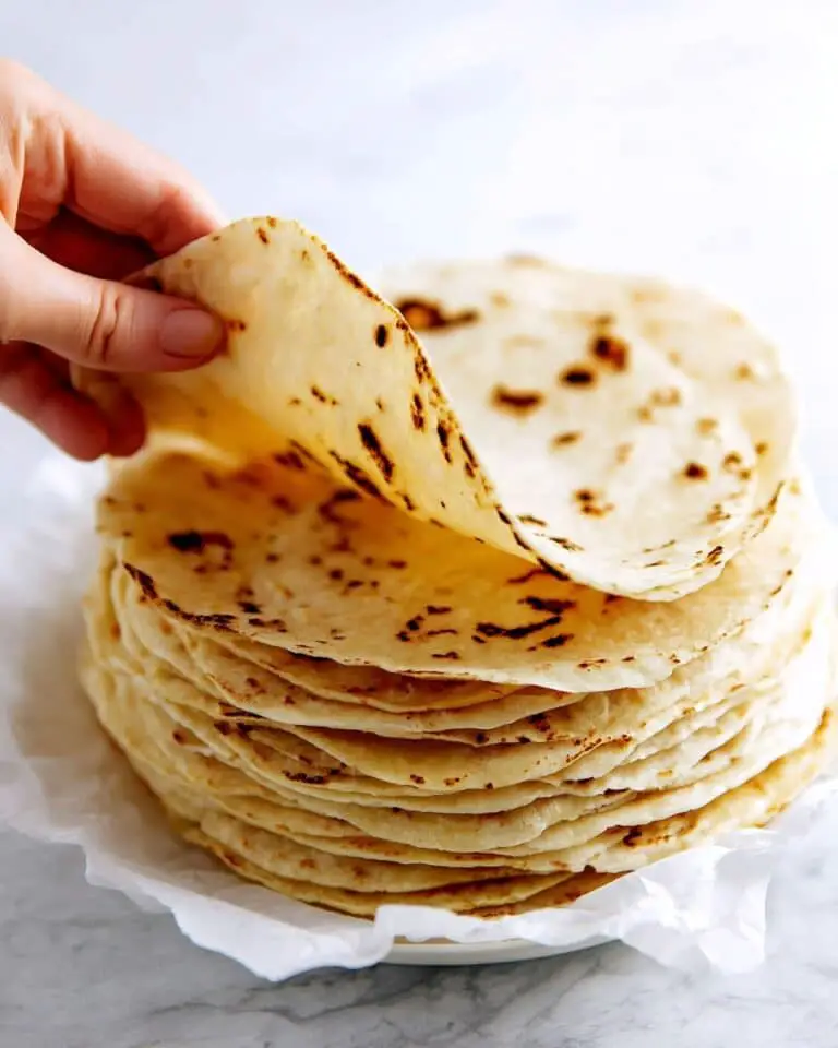 Homemade Corn Tortillas Recipe