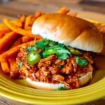 Cajun Chicken Sloppy Joes Recipe