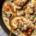 Creamy Mushroom Chicken Recipe