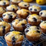 Blueberry and Lemon Zest Cottage Cheese Bites Recipe
