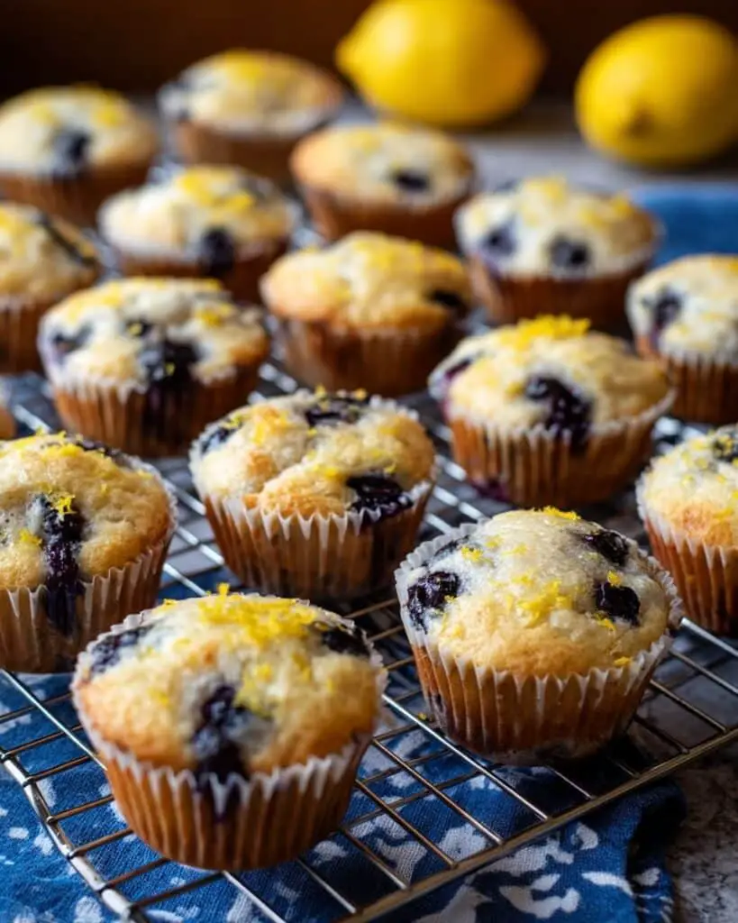 Blueberry and Lemon Zest Cottage Cheese Bites Recipe