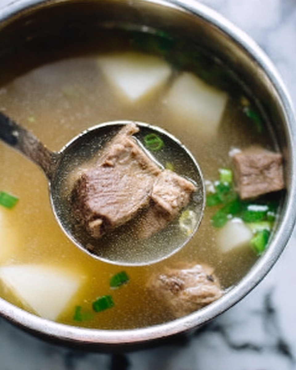 The image shows a close-up of a shiny silver ladle holding a piece of cooked meat with a light brown color and some texture, lightly floating in a clear broth with small green slices of scallions scattered around. Inside the pot, there are pale white chunks, possibly radish or vegetables, submerged in the warm broth alongside more pieces of tender meat. The background is a white marbled texture, and the photo focuses on the ladle lifting the meat and broth. photo taken with an iphone --ar 4:5 --v 7