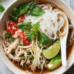 Instant Pot Pho Recipe