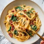 Spaghetti & Spinach with Sun-Dried Tomato Cream Sauce Recipe