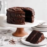 The Best Chocolate Cake Recipe {Ever} Recipe