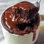 Easy Microwave Chocolate Mug Cake Recipe