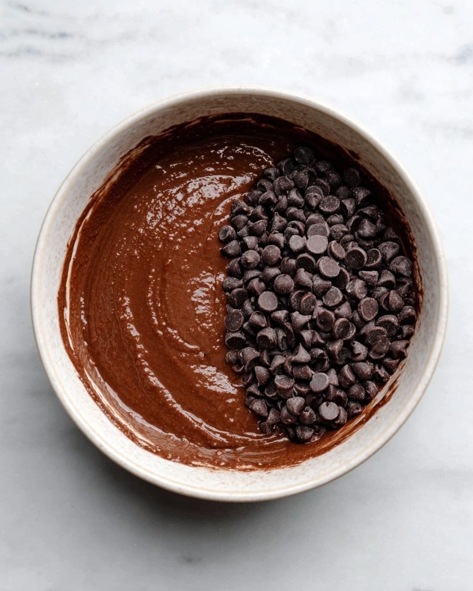 A white bowl on a white marbled surface holds a thick, smooth dark brown chocolate batter filling most of the bowl. On one side of the batter, there is a pile of shiny dark brown chocolate chips resting on top. The bowl’s inside rim slightly shows, framing the rich, glossy texture of the mixture. photo taken with an iphone --ar 4:5 --v 7