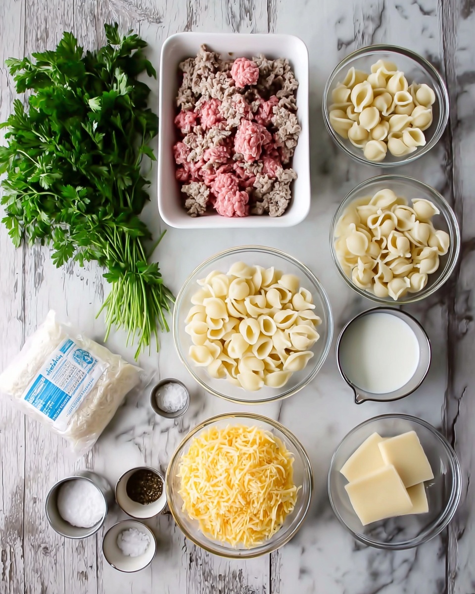 The image shows a flat lay of cooking ingredients on white marbled texture. There is a white rectangular dish filled with raw ground meat that has pink and gray tones, placed near fresh green parsley bunches to the left. To the right of the dish are four clear glass bowls, each filled with small pasta shells having a light cream color and smooth texture. Below these bowls, a larger glass bowl is filled with finely shredded yellow cheese, and a smaller glass bowl contains thin slices of pale, smooth cheese. On the top middle right, a small silver cup holds salt, and a small metal bowl filled with white milk sits nearby. In the bottom right corner, there are three tiny bowls holding salt, white powder, and black pepper. In the top left corner next to the parsley is a white bag of pasta labeled with blue and white text. The overall setup is neat and clean with a natural look. Photo taken with an iphone --ar 4:5 --v 7