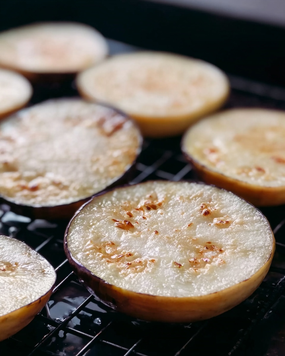 The image shows several round slices of cooked eggplant placed on a black wire rack. The eggplants are light brown and slightly translucent with some darker spots and a soft texture. The slices have a few seeds visible and look juicy with a slight sheen on top. The background is out of focus with more slices sitting in black round shapes behind the rack. photo taken with an iphone --ar 4:5 --v 7