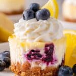 Lemon Blueberry Mini Cheesecakes Recipe