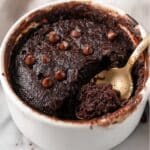 100 Calorie Chocolate Mug Cake Recipe
