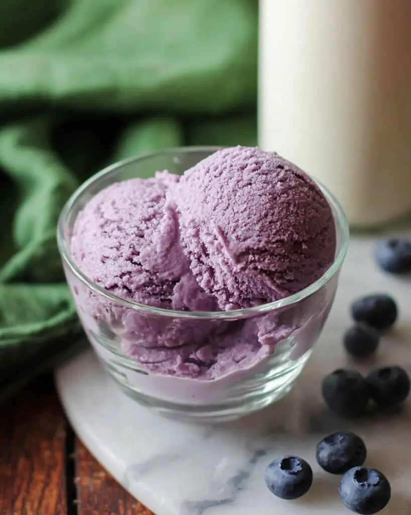 Homemade Blueberry Ice Cream Recipe