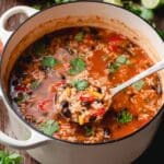 Chicken Tomato Rice Soup Recipe