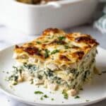 Chicken Alfredo Lasagna Recipe