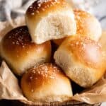 Best Homemade Dinner Rolls Recipe