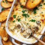 Creamy Artichoke Dip Recipe