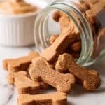 Homemade Peanut Butter Dog Treats Recipe