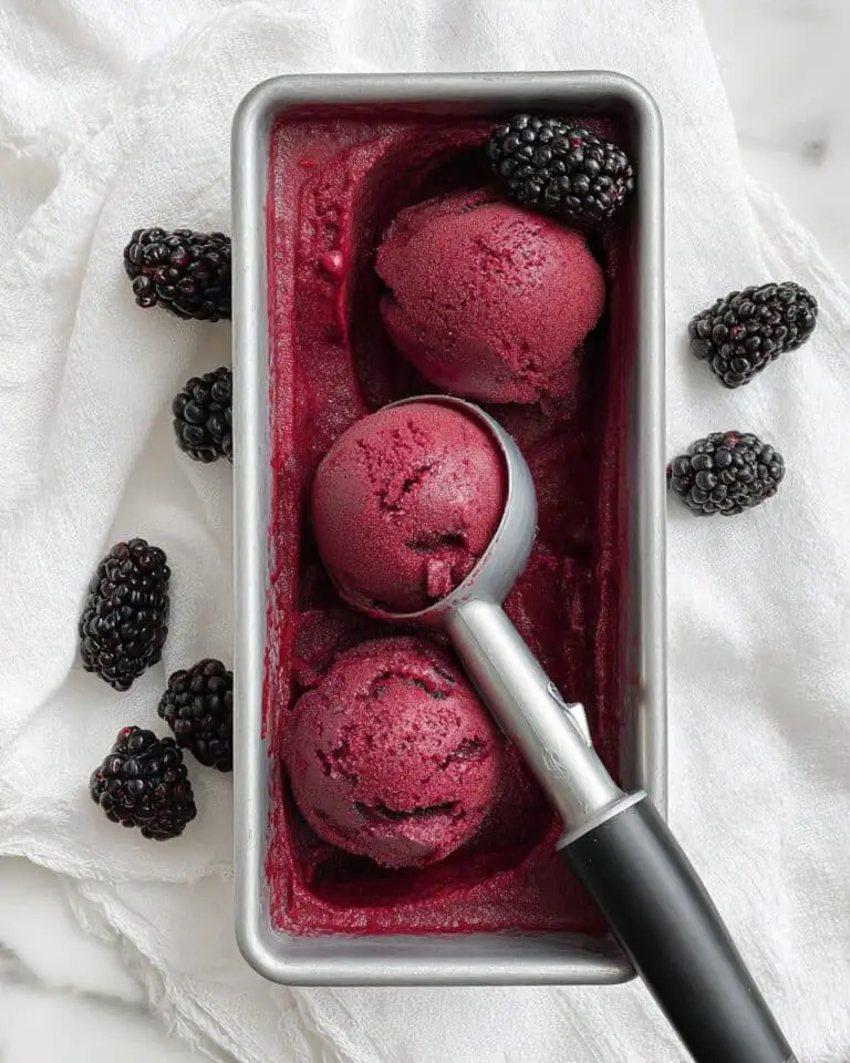 Blackberry Sorbet Recipe