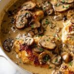 Mushroom Chicken in Creamy White Wine Sauce Recipe