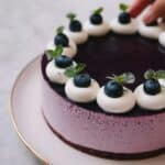 Blueberry Yogurt Cream Cake Recipe