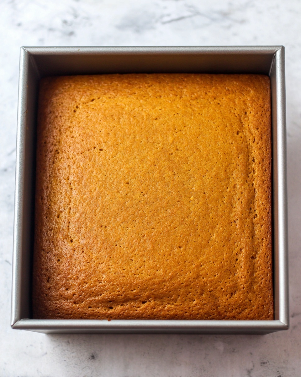 The image shows a single square layer of cake inside a metal baking pan. The cake has a smooth, slightly domed top with a golden-brown color that looks soft and moist. The edges of the cake are well set against the sides of the pan, and the surface has a light texture with tiny fine cracks and small even specks throughout. The background is a white marbled surface. photo taken with an iphone --ar 4:5 --v 7