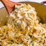 Crock Pot Creamy Garlic Chicken and Noodles Recipe