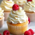 Vanilla Cupcakes - stays moist 4 days!! Recipe