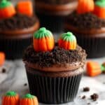 Pumpkin Patch Cupcakes Recipe